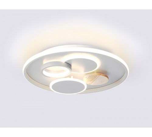 Накладной светильник Ambrella Light FL4803 FL