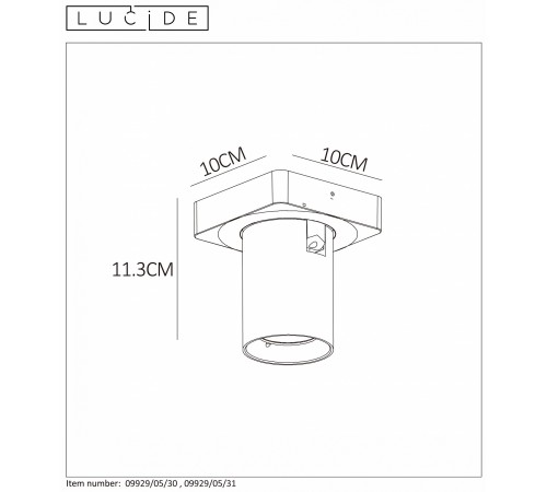 Спот Lucide 09929/05/31 Nigel