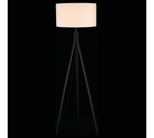 Торшер Aployt APL.636.05.01 Donatin