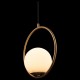 Подвесной светильник Loft it LOFT2600-A Glob