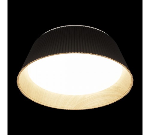 Накладной светильник Loft it 10224 Black Evans