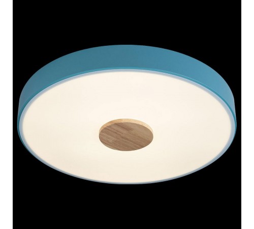 Накладной светильник Loft it 10003/24 Blue Axel 2