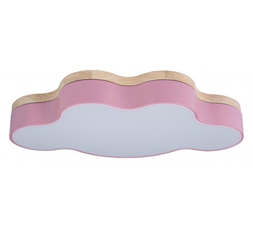 Накладной светильник Loft it 10005/30 Pink Axel 4