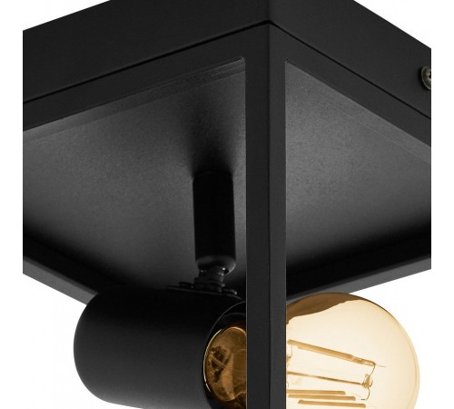 Спот Eglo 98331 Silentina