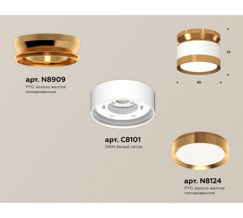 Накладной светильник Ambrella Light XS8101060 XS