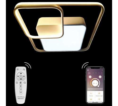 Накладной светильник Natali Kovaltseva 81038/6C LED