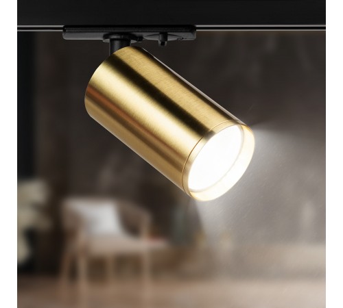 Светильник на штанге Эра TR39-GU10 BS