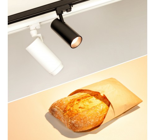 Светильник на штанге Arlight 032466 GERA FOOD