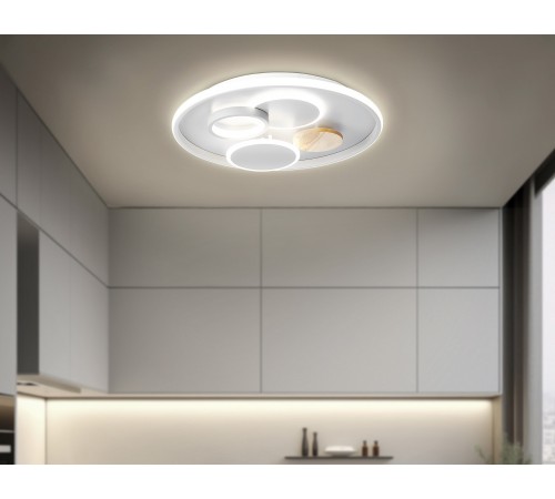 Накладной светильник Ambrella Light FL4803 FL