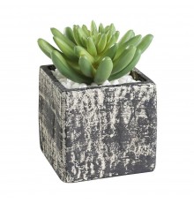 Растение в горшке (75x75x120) Chitose 428007