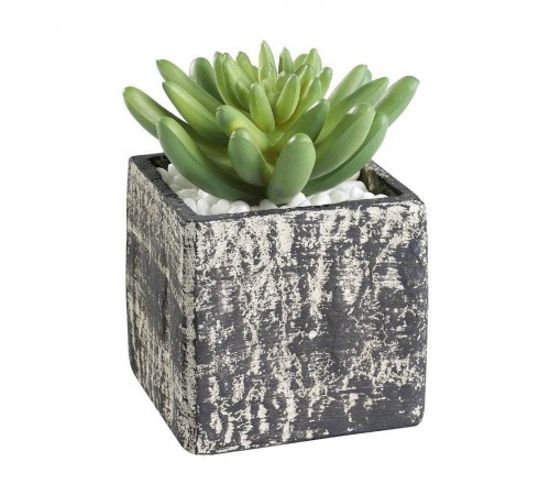 Растение в горшке (75x75x120) Chitose 428007