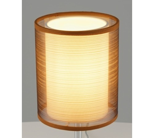 Настольная лампа декоративная Moderli V10626-1T Room