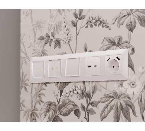 Накладка для розетки с заземлением и со шторками и 2хUSB type A Ambrella Volt AP2090 Quant