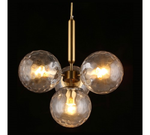 Подвесная люстра Aployt APL.728.06.04 Lora