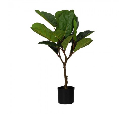 Растение в горшке (500x900) Yubetsu 428021