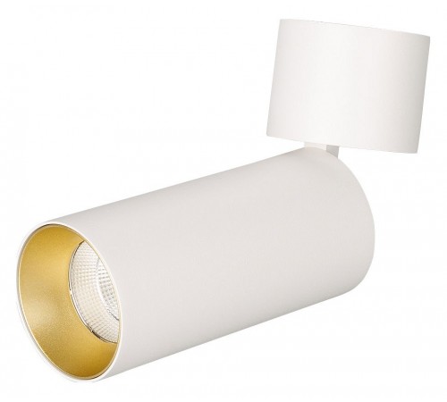 Светильник на штанге Arlight 022645(1) POLO