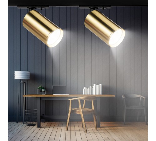 Светильник на штанге Эра TR39-GU10 BS