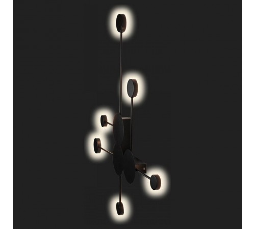 Накладной светильник Loft it 10058BK Rays