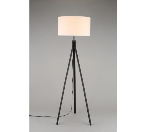 Торшер Aployt APL.636.05.01 Donatin