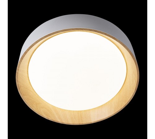 Накладной светильник Loft it 10202 White Coin