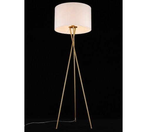 Торшер Aployt APL.637.05.01 Anastasi