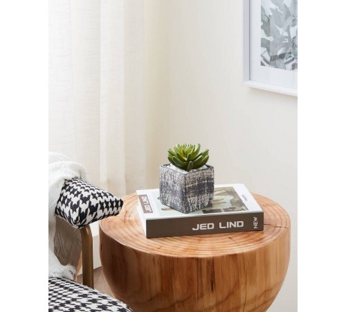 Растение в горшке (75x75x120) Chitose 428007