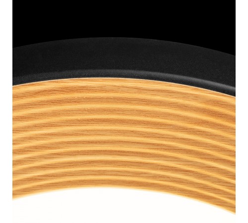 Накладной светильник Loft it 10255/500 Black Folk