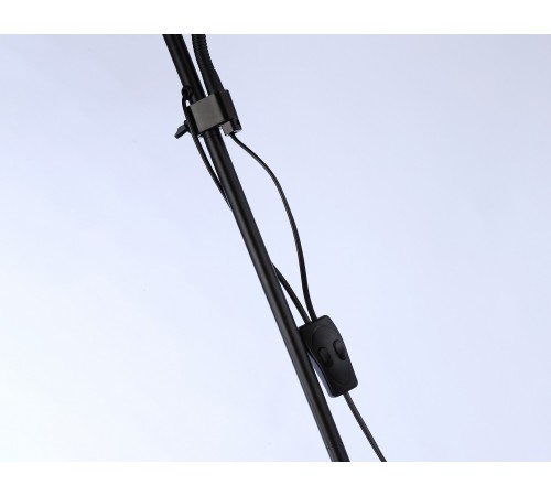 Торшер с подсветкой Ambrella Light TR97629 TR