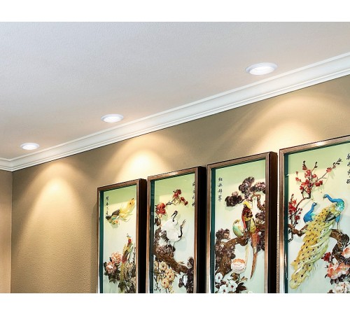 Встраиваемый светильник Ambrella Light TN160 TN