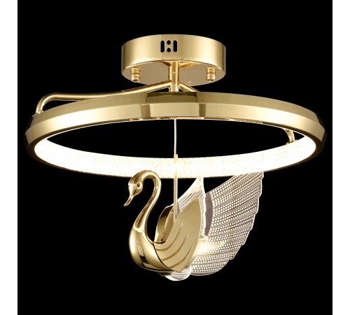 Светильник на штанге Wertmark WE466.02.307 Letizia