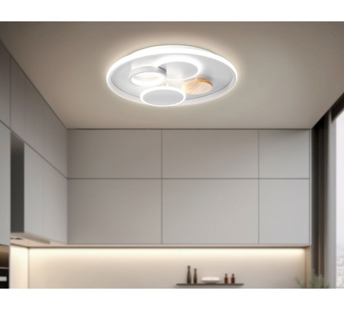 Накладной светильник Ambrella Light FL4803 FL