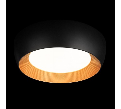 Накладной светильник Loft it 10255/500 Black Folk