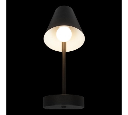 Бра Loft it 10216/1W Black Shelf