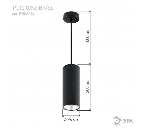 Подвесной светильник Эра PL12 GX53 BK/SL