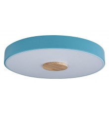 Накладной светильник Loft it 10003/24 Blue Axel 2