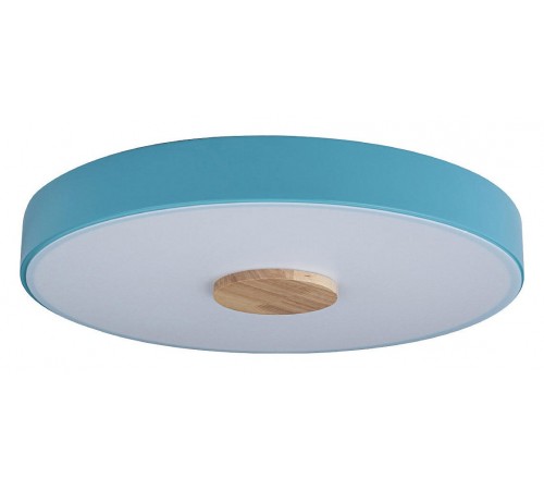 Накладной светильник Loft it 10003/24 Blue Axel 2