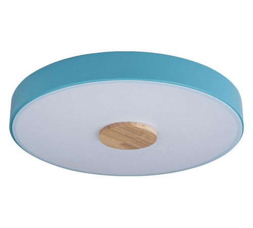 Накладной светильник Loft it 10003/24 Blue Axel 2