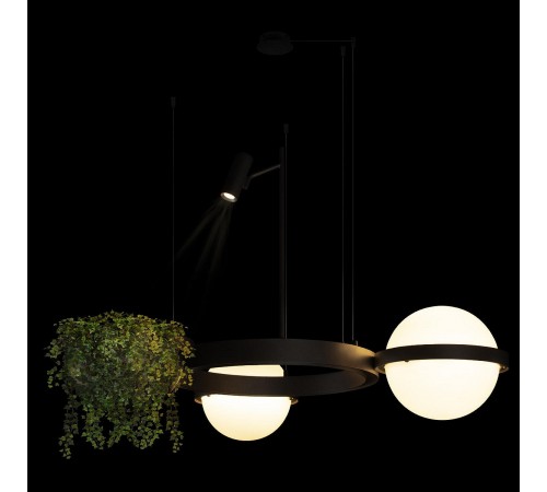 Подвесной светильник Loft it 10121/2 Jardin