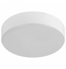 Накладной светильник Эра Relict 22 SPB-6-20 4К WH Relict