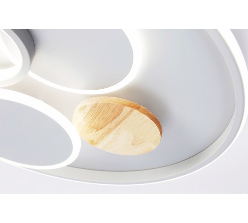 Накладной светильник Ambrella Light FL4803 FL