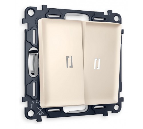 Выключатель двухклавишный с подсветкой без рамки Ambrella Volt MA324015 Quant