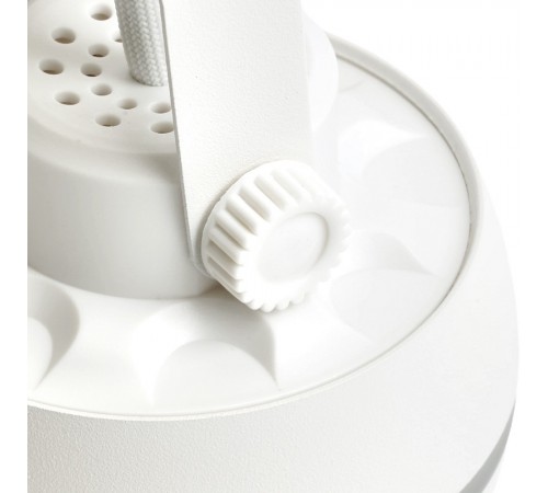 Светильник на штанге Feron 48548 AL165