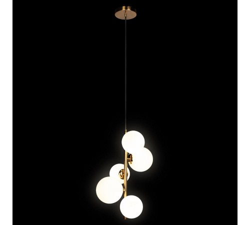 Подвесная люстра Loft it 10236/5 Tely