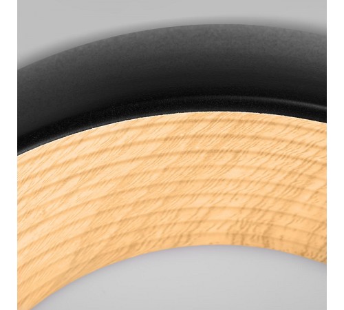 Накладной светильник Loft it 10255/350 Black Folk