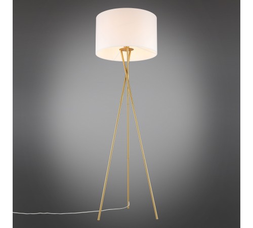 Торшер Aployt APL.637.05.01 Anastasi