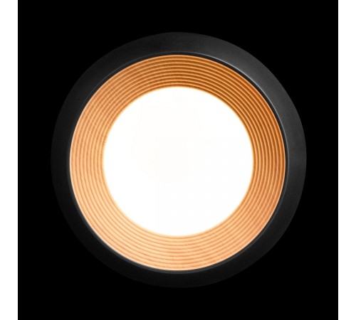 Накладной светильник Loft it 10255/350 Black Folk