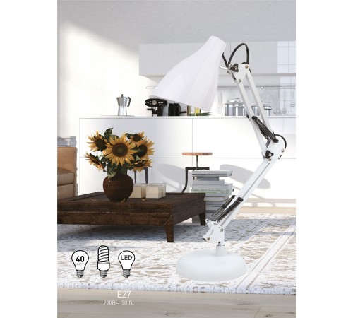 Настольная лампа офисная Эра Б0047196 N123