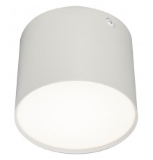 Накладной светильник Escada 20004SMU/01LED SWH 20004