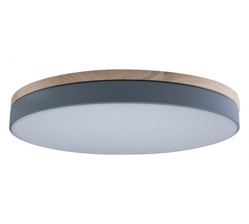 Накладной светильник Loft it 10001/36 Grey Axel