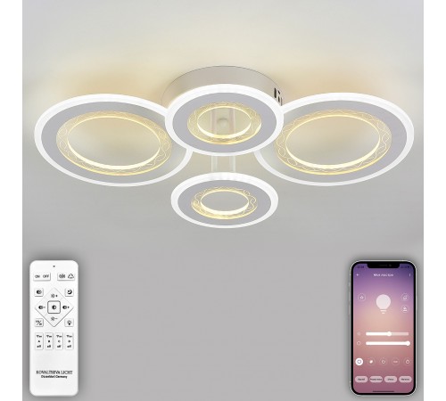 Потолочная люстра Natali Kovaltseva LED LAMPS 81196 Groove